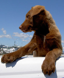chch_news065002.jpg