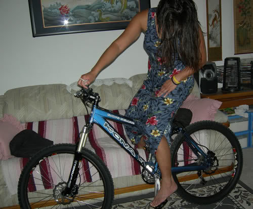 checkbike_cd76be63b1c26b7d3acbdaa409de5133c80e75ed.jpg