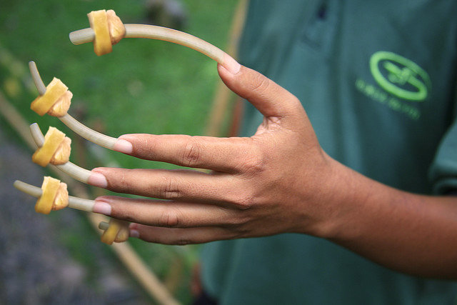cheese_nails.jpg