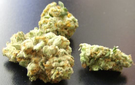cheez_c5afcab9284f81868dd883d993b0791ae82522bf.jpg