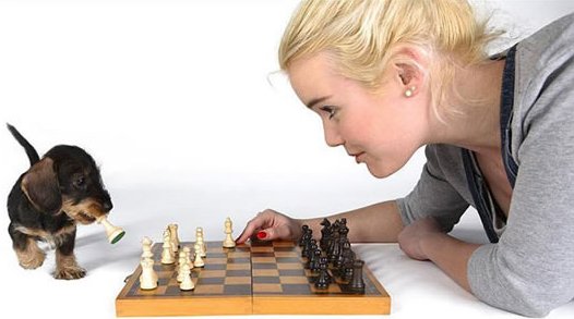 Chess_5c4ae06182c83de04d1a8d93d024ef32fa1516c0.jpg