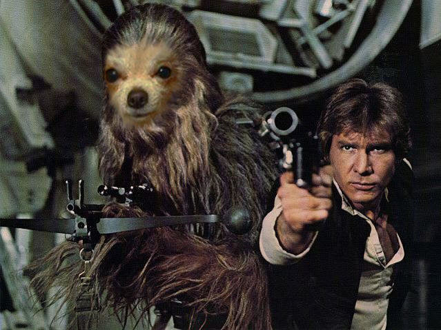 Chewbacca_w_Han_Solo_ANH.jpg