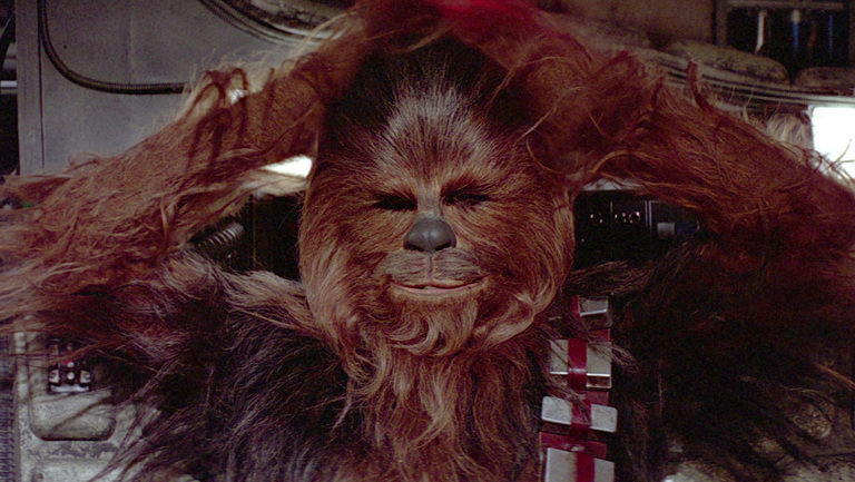 chewie-db_2c0efea2_004ea0547728ed5dbbc21a046ec5d8443739ec06.jpg