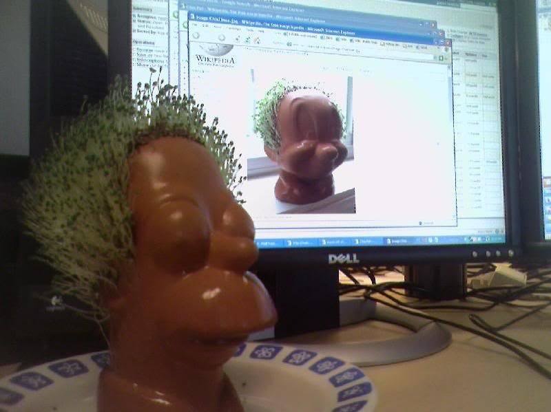 Chia-homer_b96bc43e1db55be88be9f1f4b31ea2d42ce89402.jpg