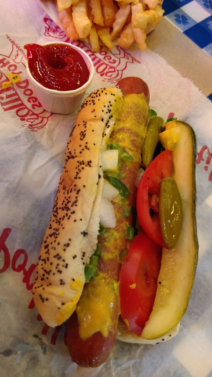 chicago dog.jpg