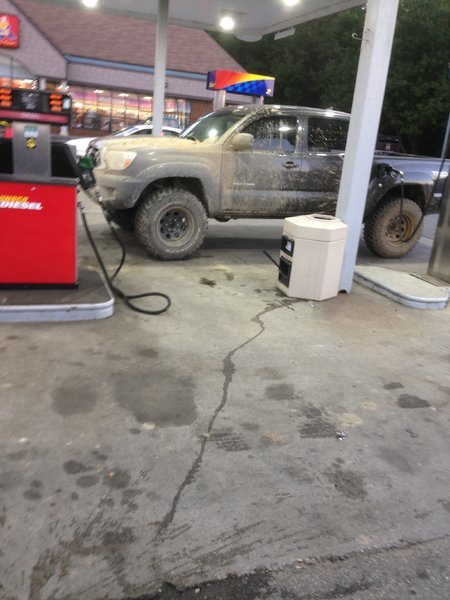 Chicken Store Mud.jpg