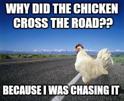 chicken1.jpg