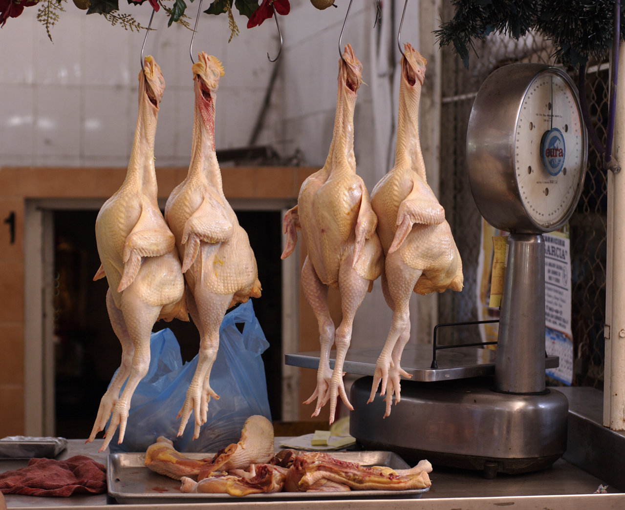 Chickens_in_market.jpg