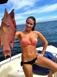 chickfish3.jpg