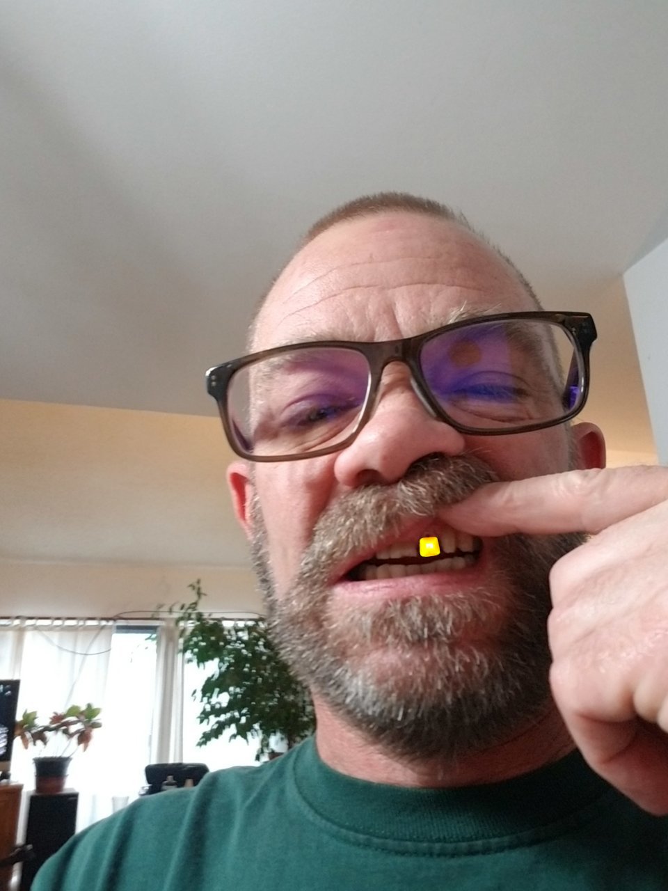 chiclet.jpg
