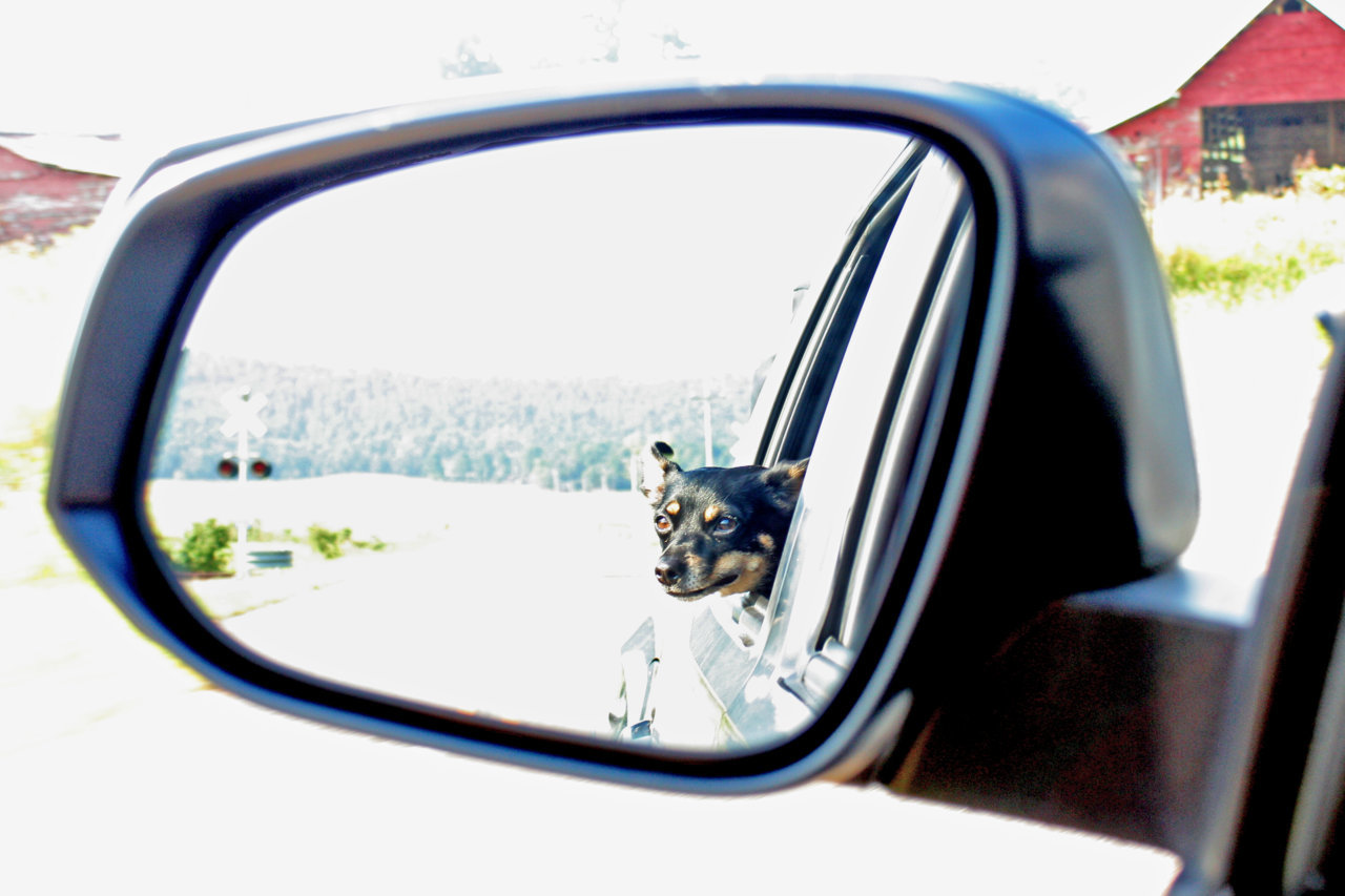 ChiefDrive1.jpg