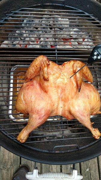 ChikN Done.jpg