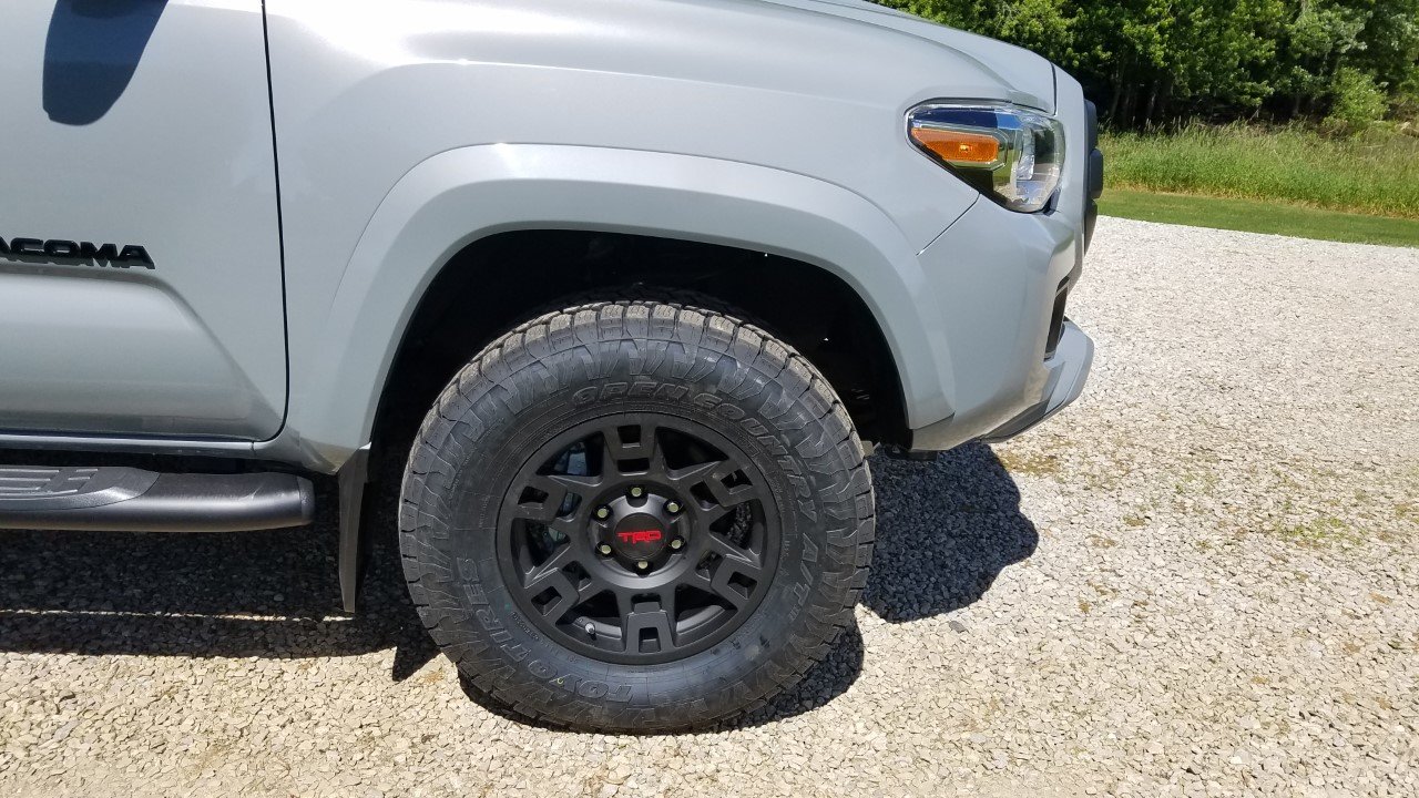 chip trd.jpg