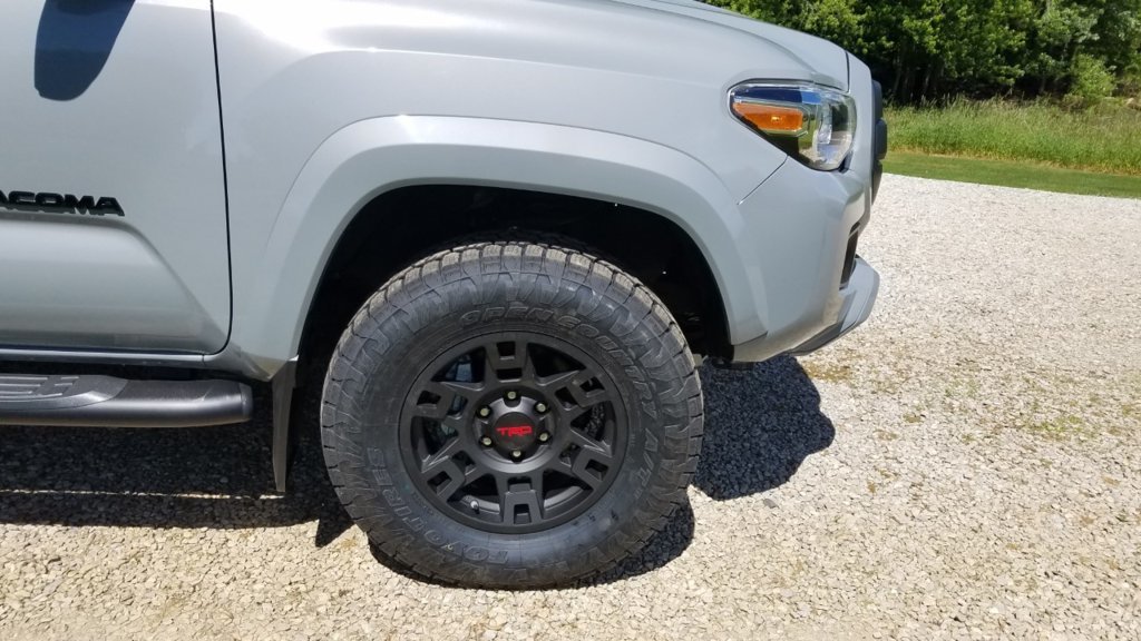chip trd.jpg