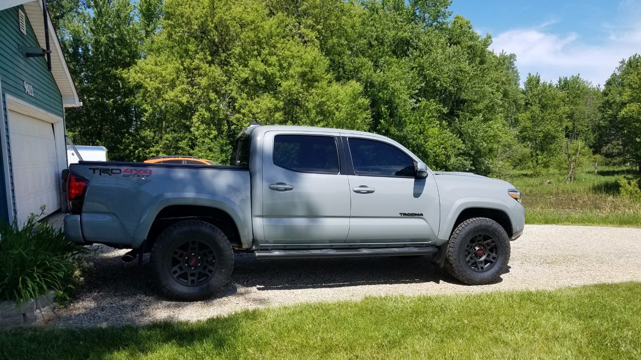 chip trd1.jpg