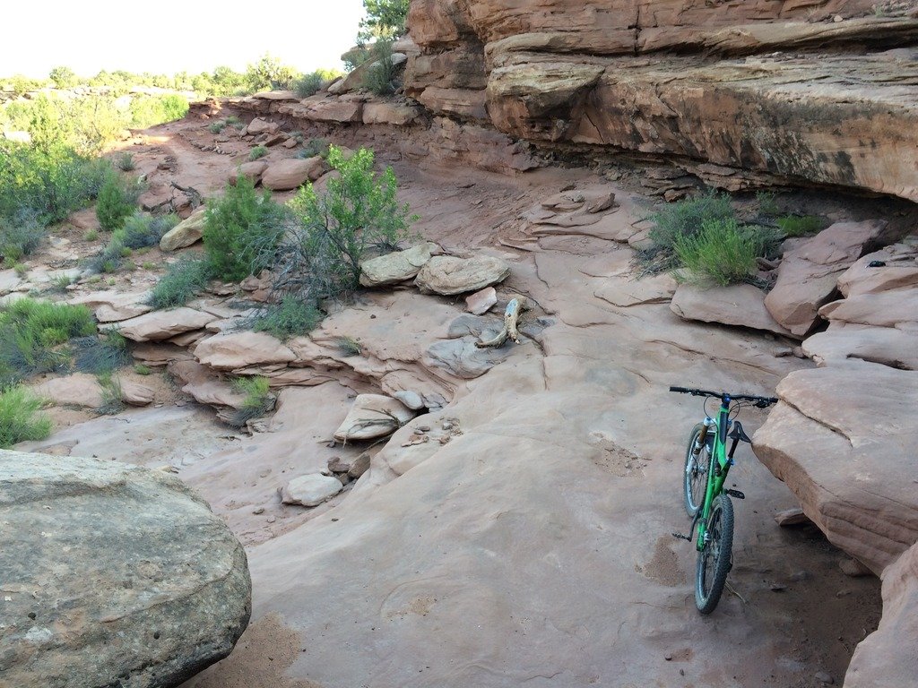 Chisholm_Moab_7dd625bd353a20c1c68fe7c19f04a61ad31e834d.jpg