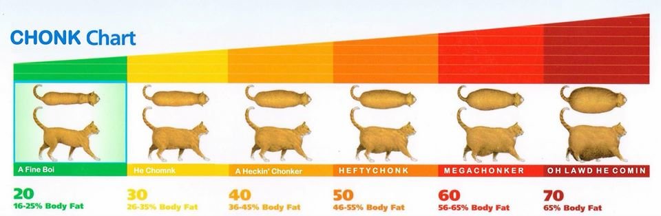 chonk.jpg