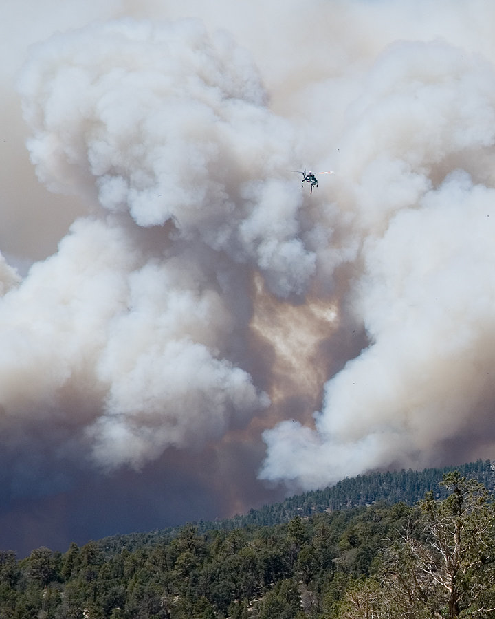 chopper_plumes_DSC_2324.jpg