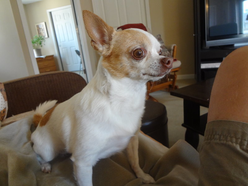 Christmas 2012 047.jpg