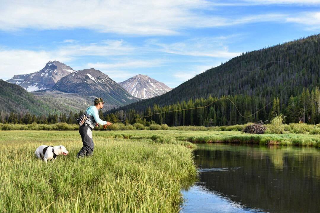 Christmas Meadows.jpg