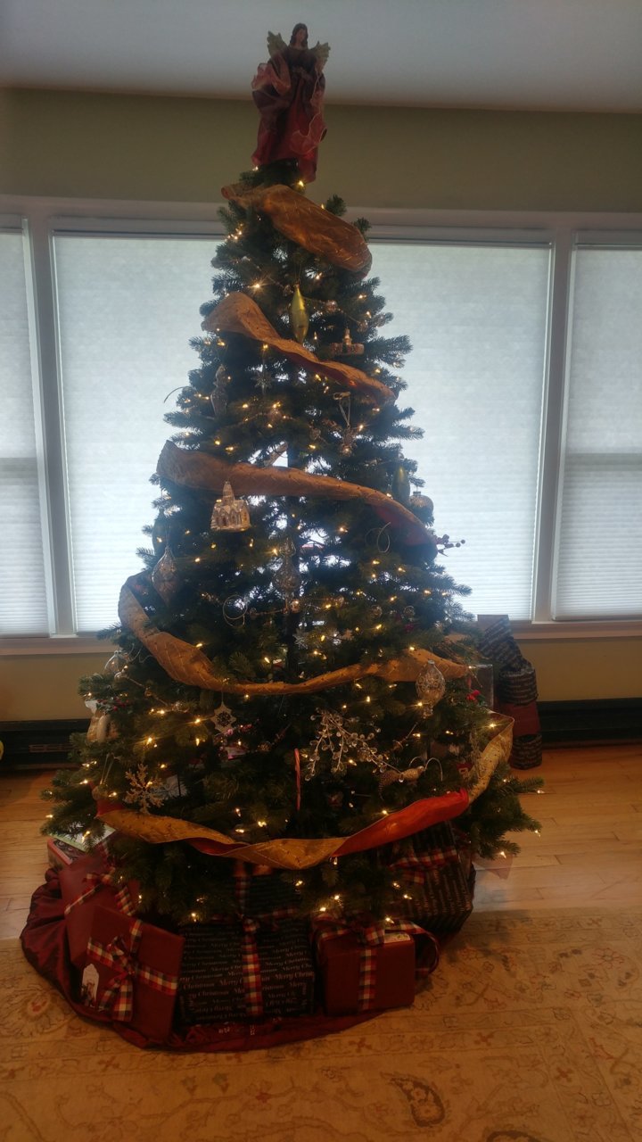 Christmas tree 2020.jpg
