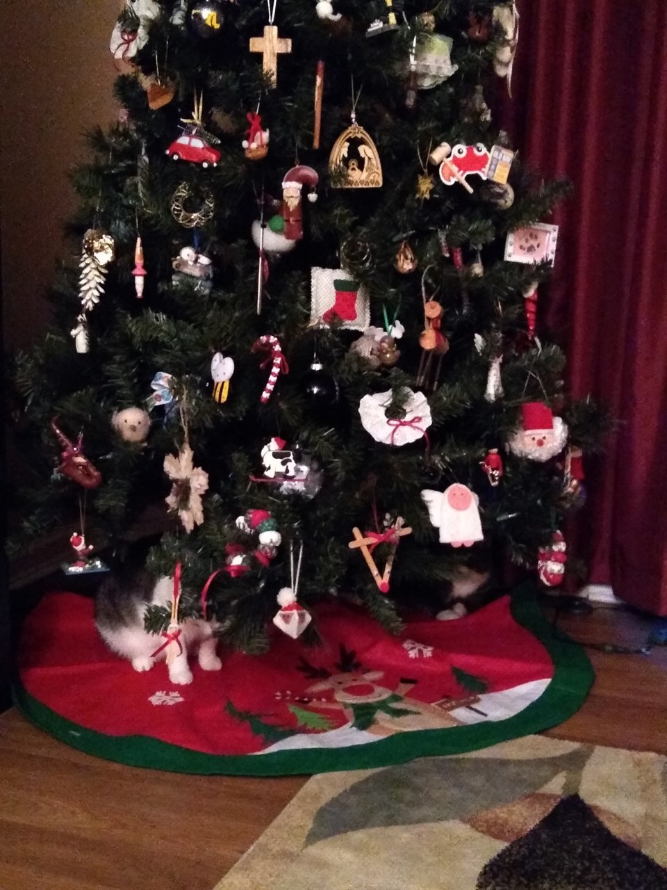 Christmas Tree.jpg