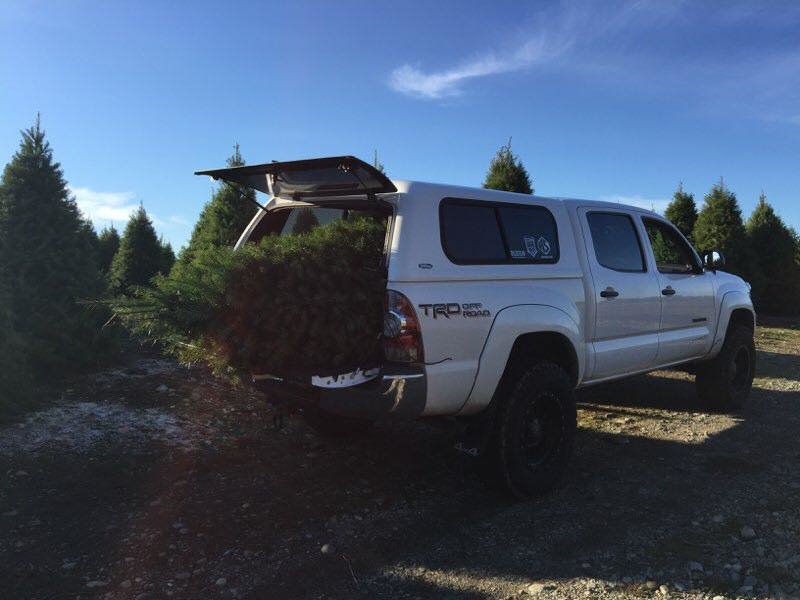 Christmas tree taco.jpg