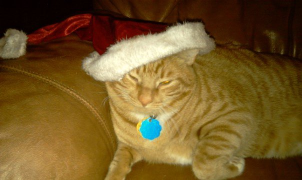 Christmas Turbo.jpg