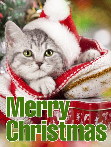 christmas37-723c37e05c593fc85147c1858044c28af1f5dd7346a0420d0fb425f8d5f06b34.png