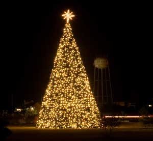 christmas_tree_lighting.jpg