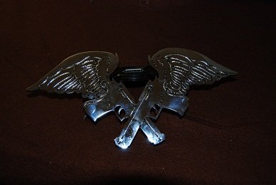 Chrome emblem.jpg