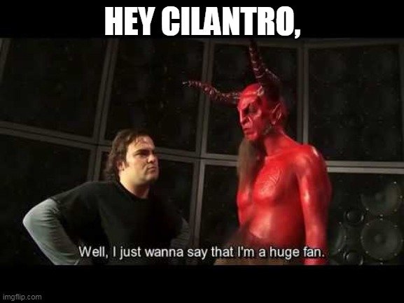 cilantro.jpg