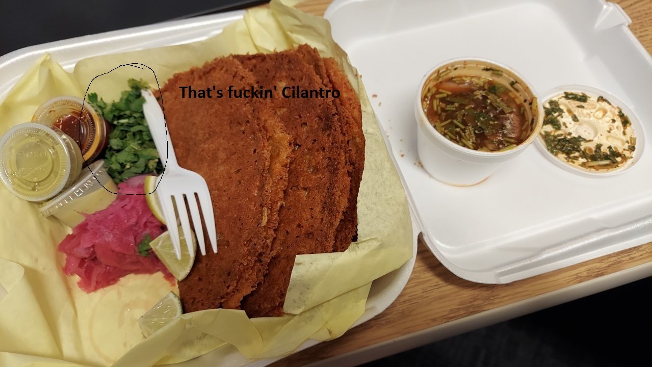 cilantro1a.jpg