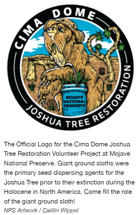 cima.png