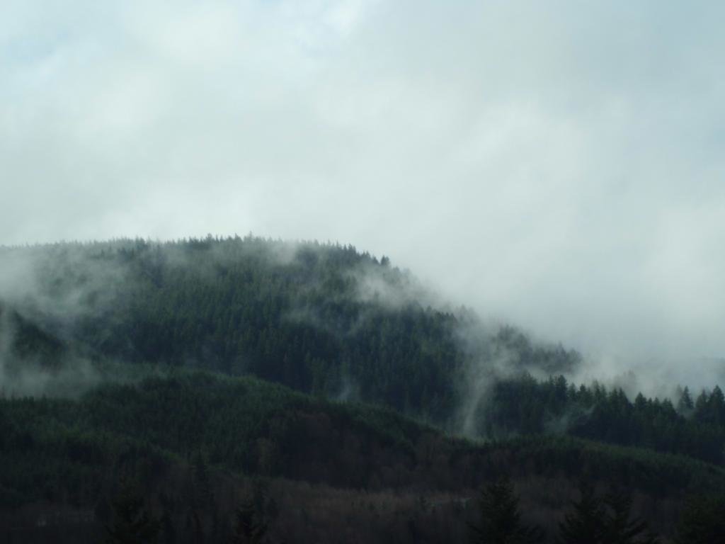 CIMG0111_af4da0206b6ee1be6e77130b0b01bec7397ca096.jpg