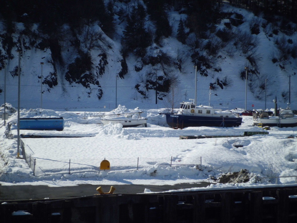 CIMG0294_d49473ec1777461fa18f6755c40bddcad7b18324.jpg