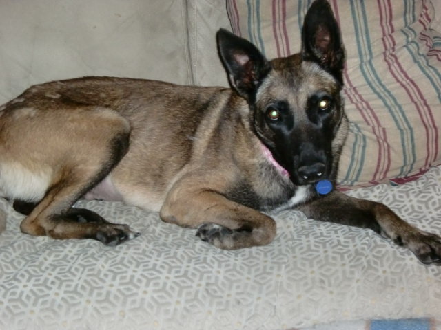 CIMG0489.jpg