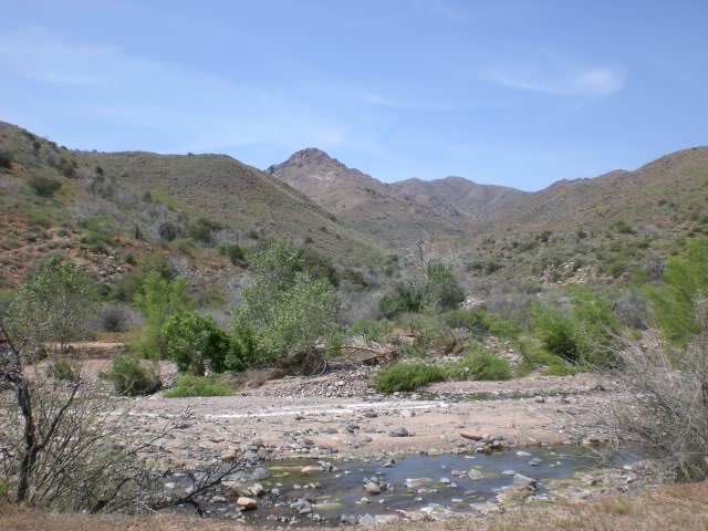 CIMG0929_2cd326cc766482c277220ec0ed511c0ebb979093.jpg
