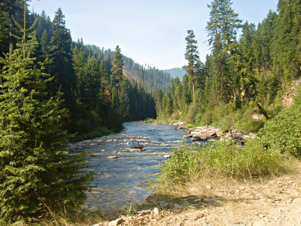 CIMG0989_88b1506a6b7f0529d4c613e8a7dce3c596106b4d.jpg