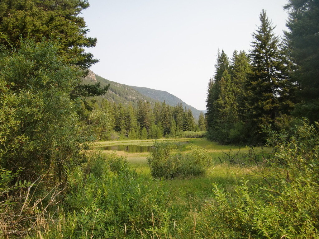 CIMG1114_7495217ab930f38835333f6461f39ac1002ad988.jpg