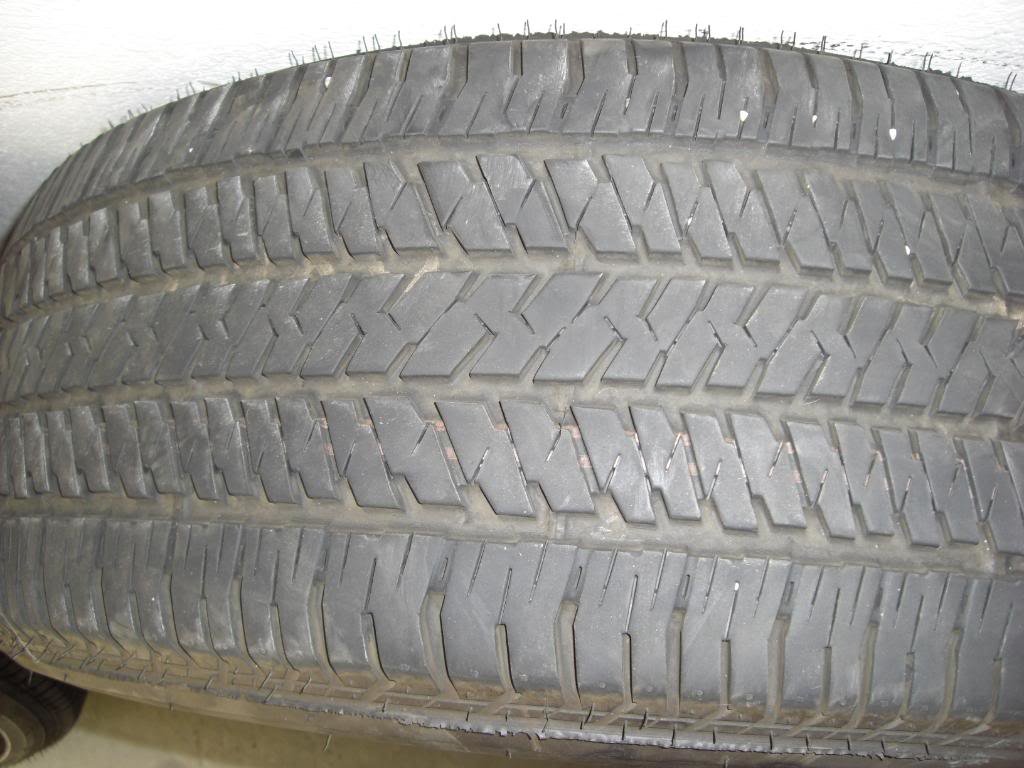 CIMG1717_91de81de95f93026d90e86371a3862e7e51baae6.jpg