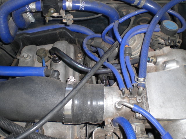 CIMG4900.jpg