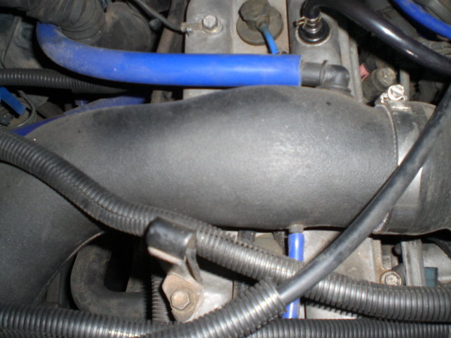 CIMG4908.jpg