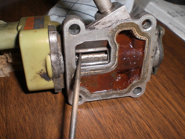 CIMG5044.jpg
