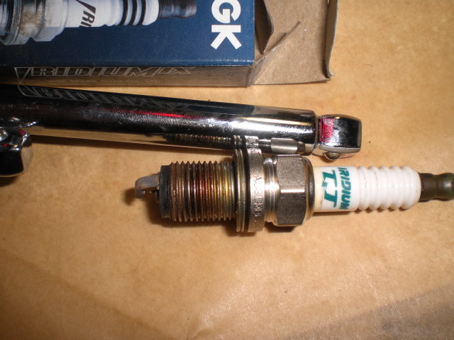 CIMG5331.jpg