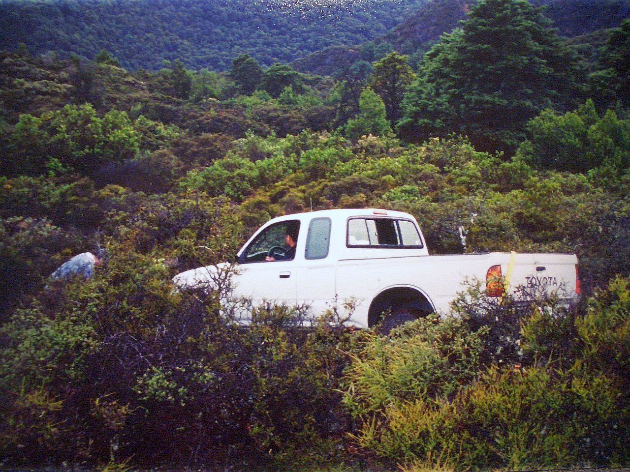 CIMG6279.jpg