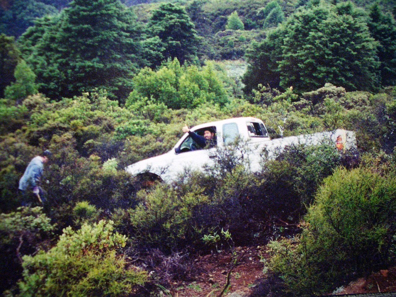 CIMG6280.jpg