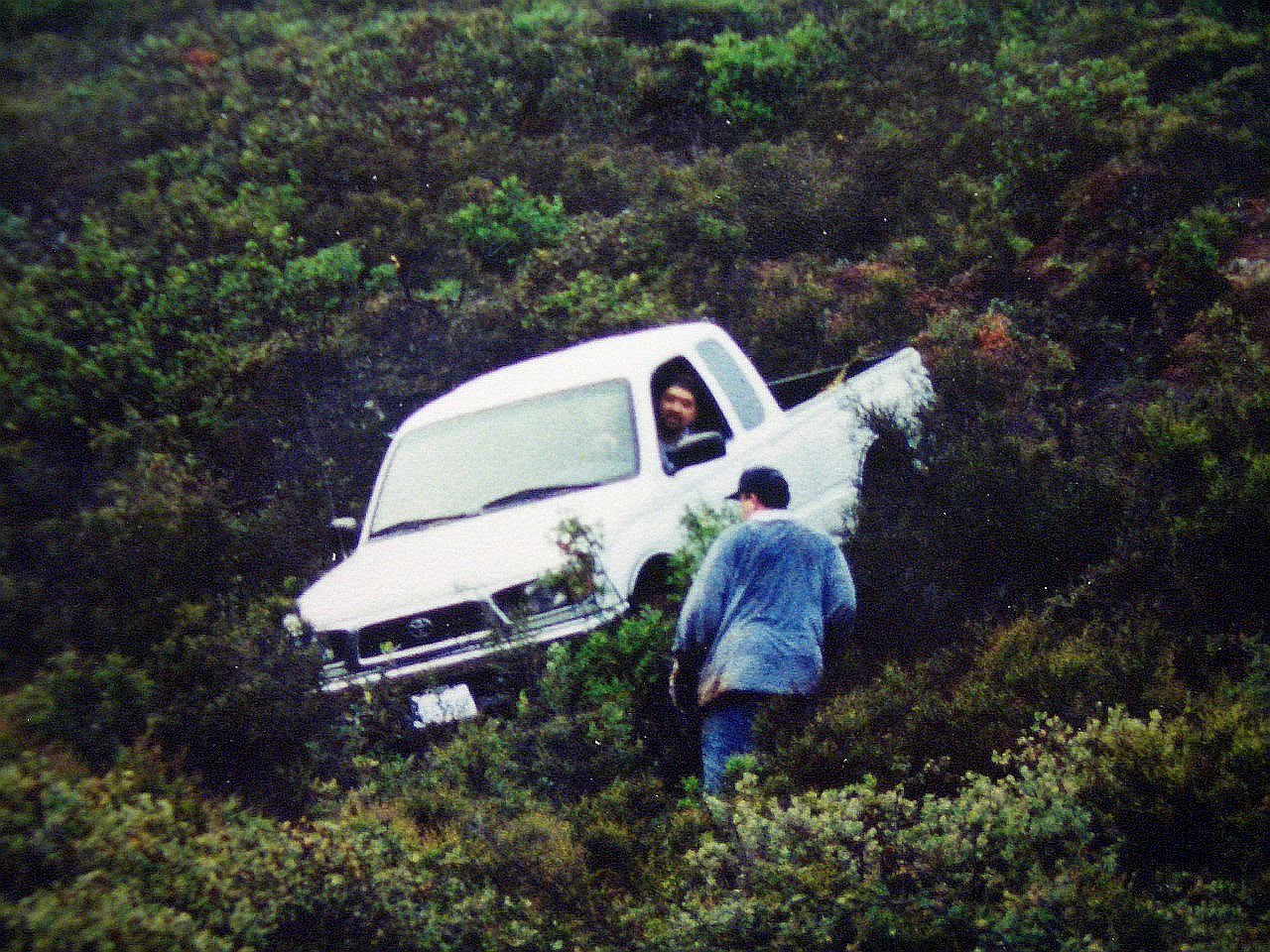 CIMG6281.jpg