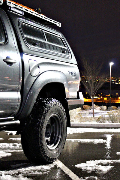 City Lights rear.jpg
