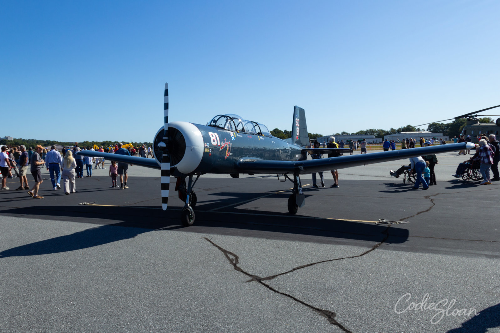 CJ-6.jpg